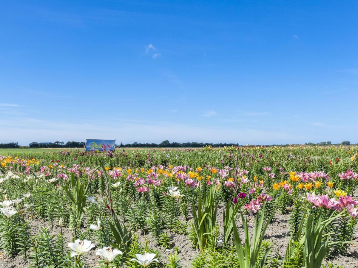 Charming Holiday Home Near Beach In Meliskerke Buitenkant foto